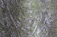 Stolford fibreglass roof work